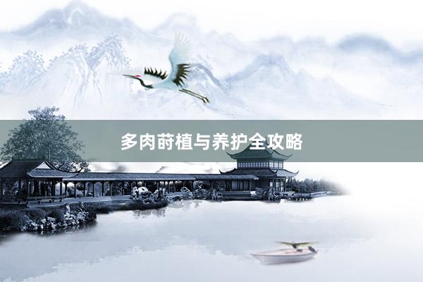 多肉莳植与养护全攻略