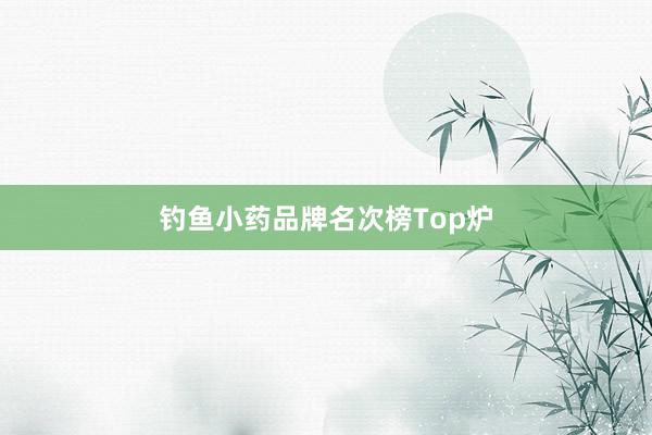 钓鱼小药品牌名次榜Top炉